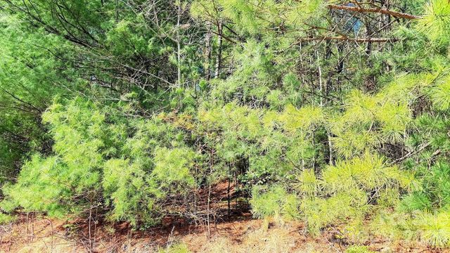 000 Jeter Mountain Road, Hendersonville, NC 28739