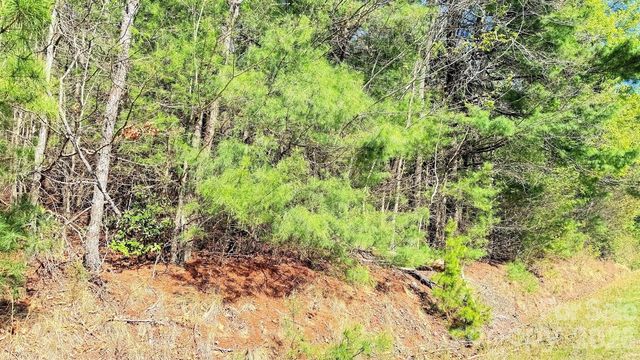 000 Jeter Mountain Road, Hendersonville, NC 28739