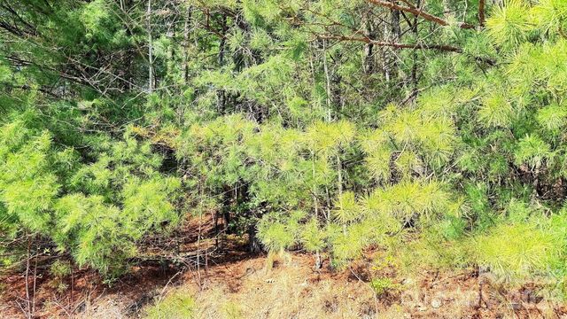 000 Jeter Mountain Road, Hendersonville, NC 28739