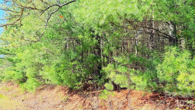 000 Jeter Mountain Road, Hendersonville, NC 28739