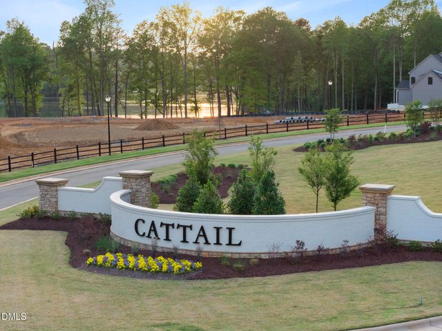 676 Mollie Mdw Drive, Zebulon, NC 27597