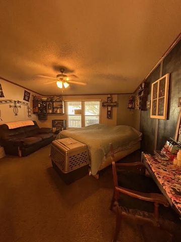 403 County Road 324 Cr, Alice, TX 78332