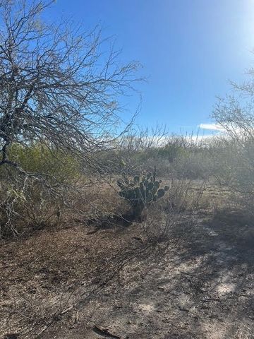 403 County Road 324 Cr, Alice, TX 78332