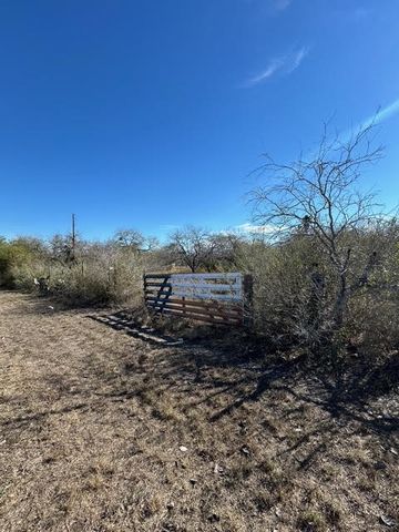 403 County Road 324 Cr, Alice, TX 78332