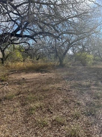 403 County Road 324 Cr, Alice, TX 78332
