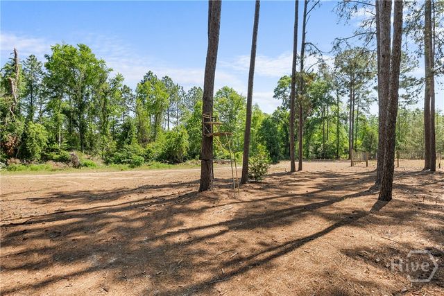392 Indigo Hills Road, Pembroke, GA 31321