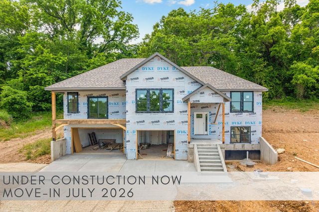 200 Jacks Hollow Road, Walnut Shade, MO 65771