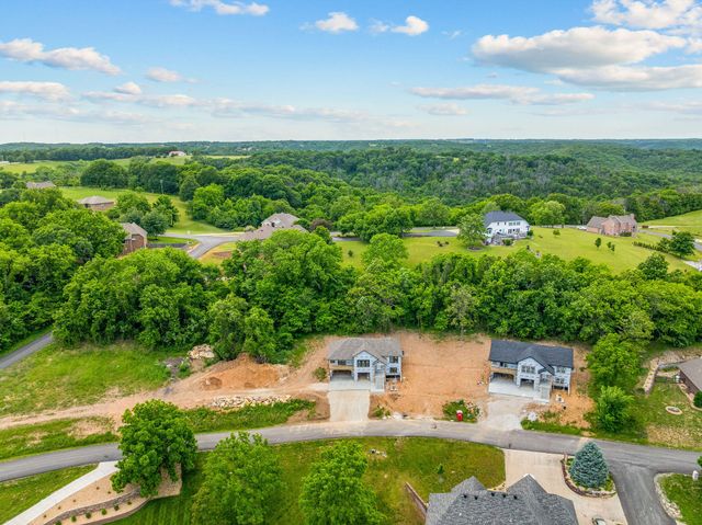 200 Jacks Hollow Road, Walnut Shade, MO 65771