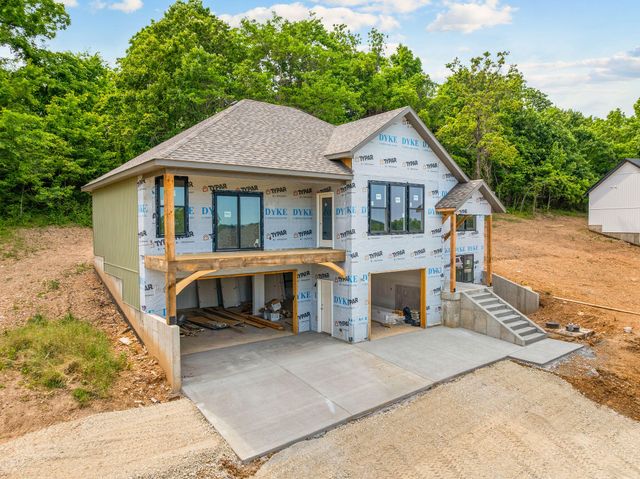 200 Jacks Hollow Road, Walnut Shade, MO 65771