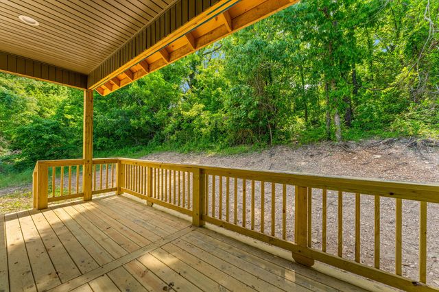 200 Jacks Hollow Road, Walnut Shade, MO 65771