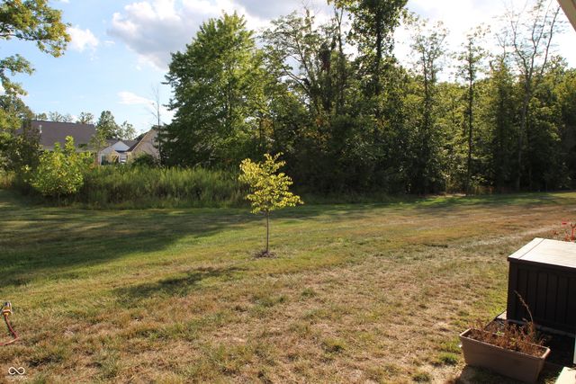 4613 Cleome Drive, Plainfield, IN 46168