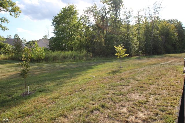 4613 Cleome Drive, Plainfield, IN 46168