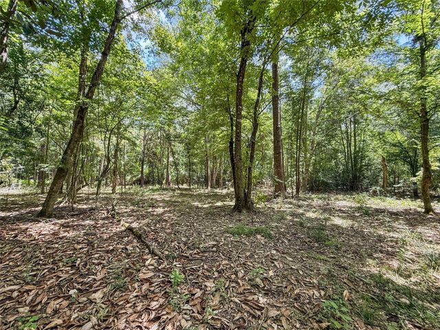 TBD Hwy 69 N, Woodville, TX 75979