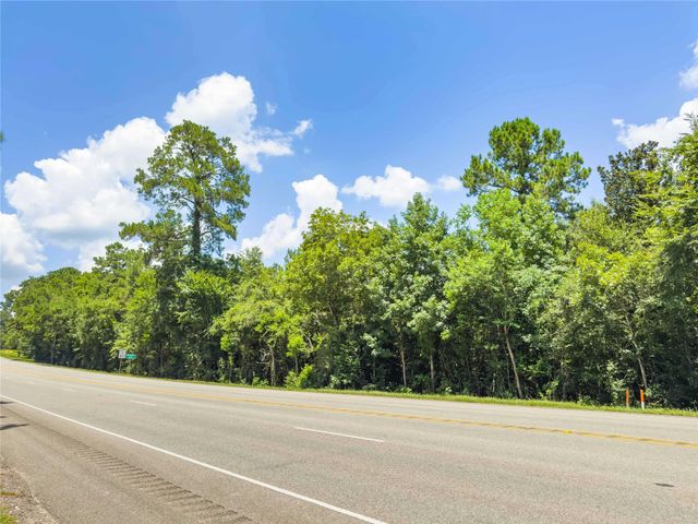 TBD Hwy 69 N, Woodville, TX 75979