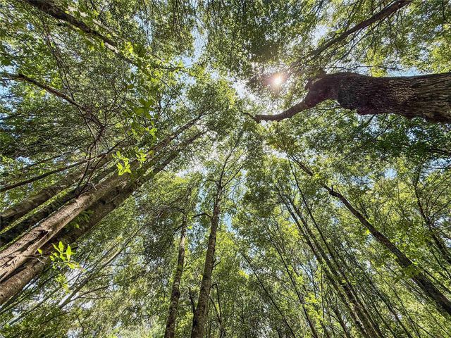 TBD Hwy 69 N, Woodville, TX 75979