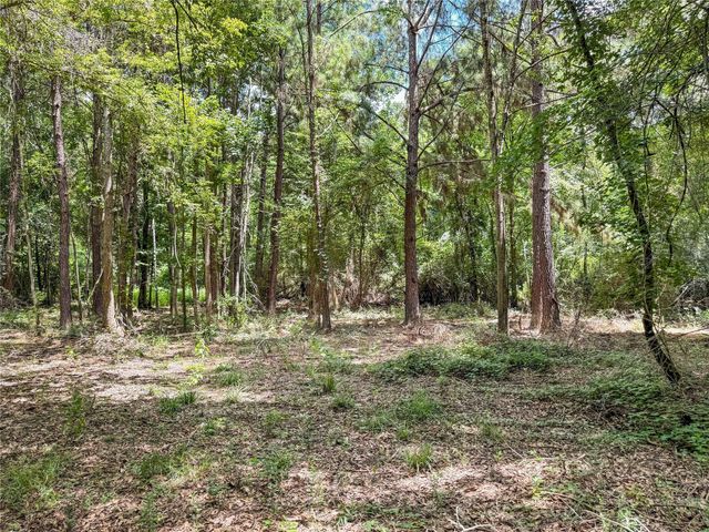 TBD Hwy 69 N, Woodville, TX 75979