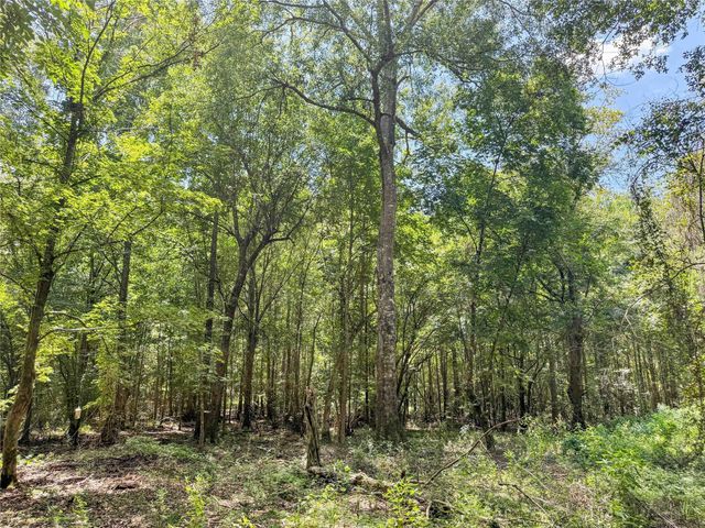 TBD Hwy 69 N, Woodville, TX 75979