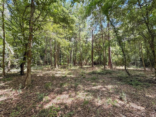 TBD Hwy 69 N, Woodville, TX 75979