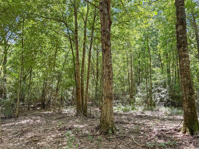 TBD Hwy 69 N, Woodville, TX 75979