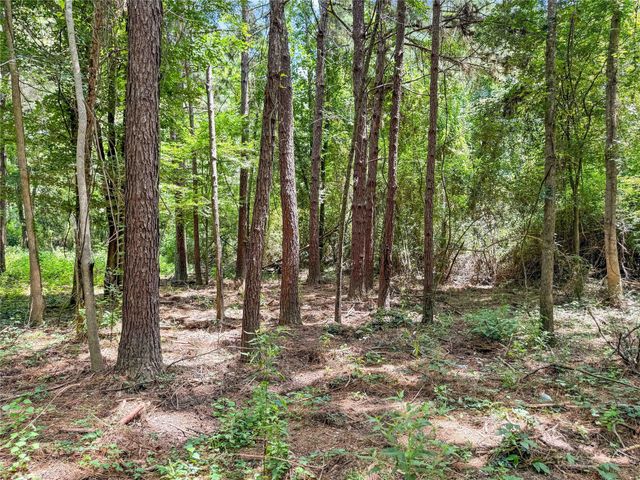 TBD Hwy 69 N, Woodville, TX 75979