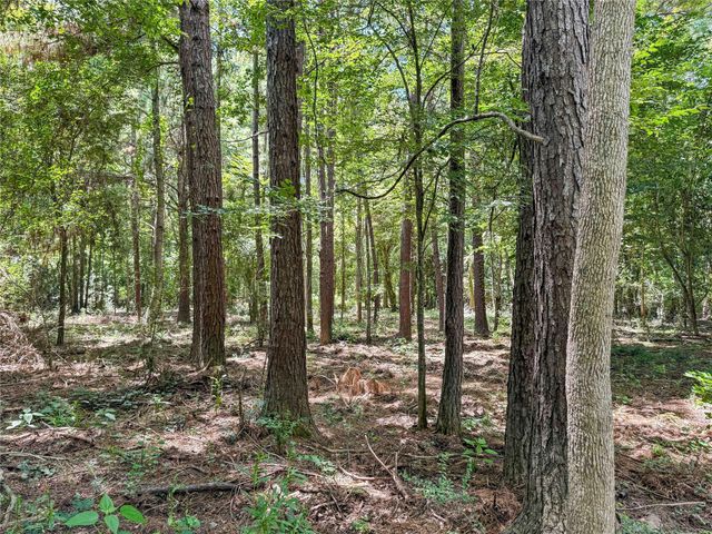 TBD Hwy 69 N, Woodville, TX 75979