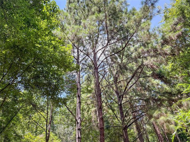 TBD Hwy 69 N, Woodville, TX 75979