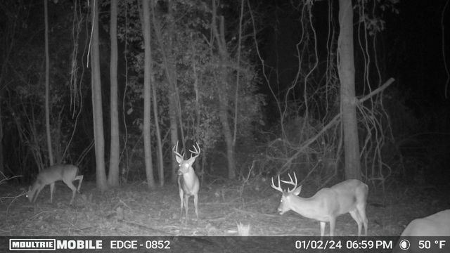 TBD Hwy 69 N, Woodville, TX 75979