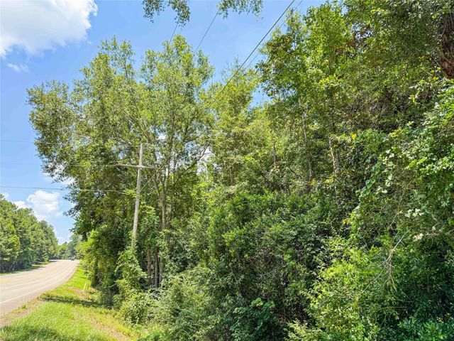 TBD Hwy 69 N, Woodville, TX 75979