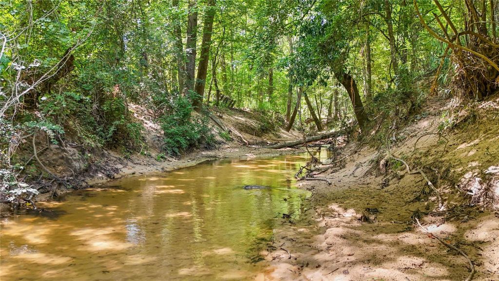 TBD Hwy 69 N, Woodville, TX 75979