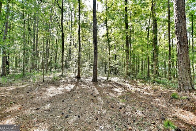 907 Big Sky Drive, Hamilton, GA 31811