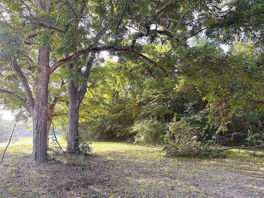 TBD Lil Arkansas Road, Bells, TX 75414