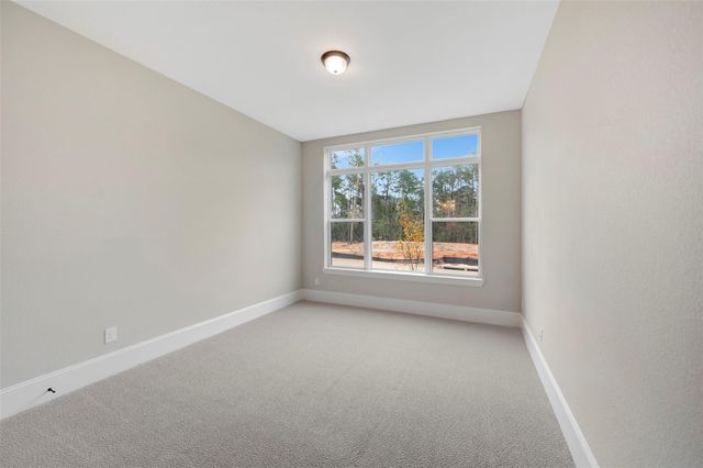 119 Rustica Bloom Trail, Willis, TX 77318