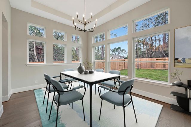 119 Rustica Bloom Trail, Willis, TX 77318