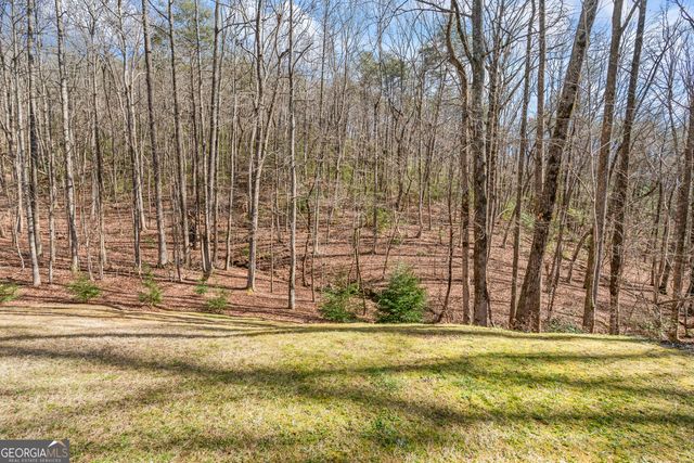 254 Jeb Drive, Cleveland, GA 30528