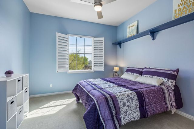 309 Black Walnut Drive, Garland, TX 75044