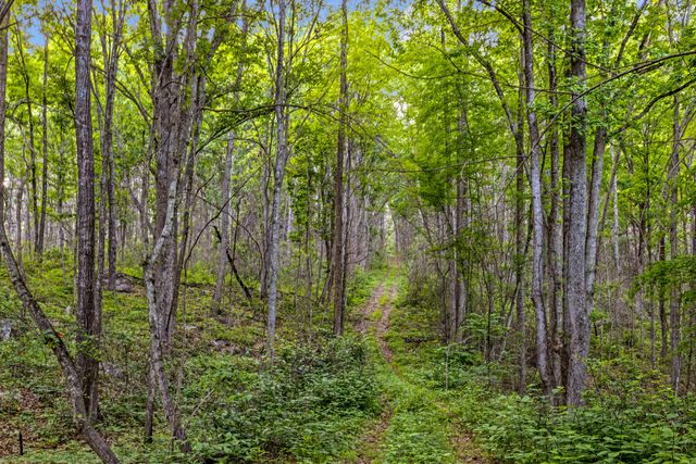 748 Woodcock Road, Dunlap, TN 37327