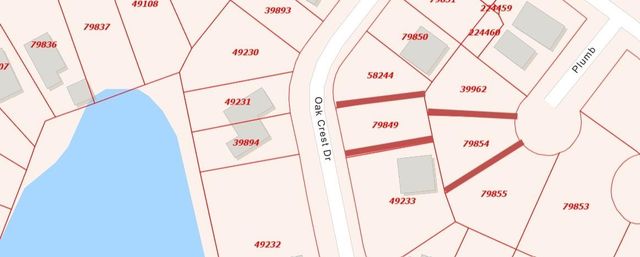 TBD Oak Crest Drive, Livingston, TX 77351