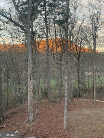 350 Foggy Creek Lane 16B, Clarkesville, GA 30523