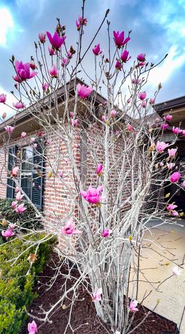 158 Juliana Way, Houma, LA 70364