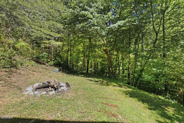 1514 McCarter Hollow Road, Sevierville, TN 37862
