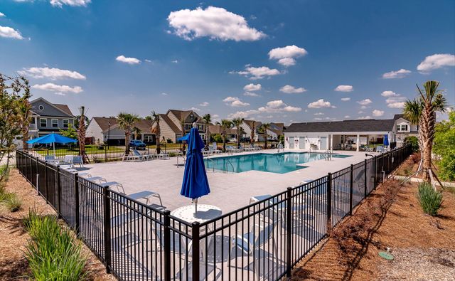 209 Daniels Creek Circle, Goose Creek, SC 29445