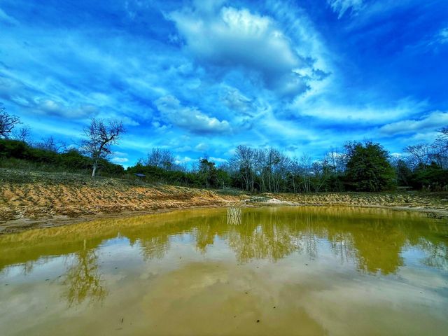 2328 Cr 301, Buffalo, TX 75831