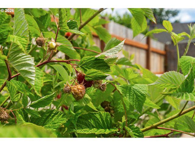 550 Se 16TH St, Salem, OR 97301