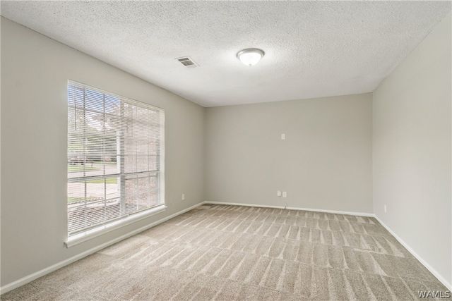 1250 Misty, Tuscaloosa, AL 35405