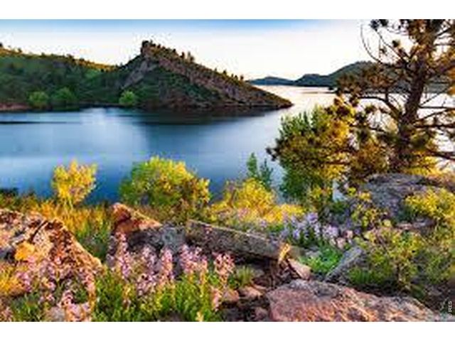 4526 Hibiscus St, Fort Collins, CO 80526