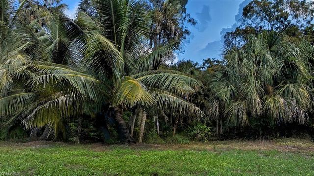 12025 Carpenter LN, Bonita Springs, FL 34135