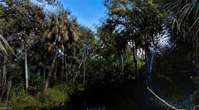 12025 Carpenter LN, Bonita Springs, FL 34135