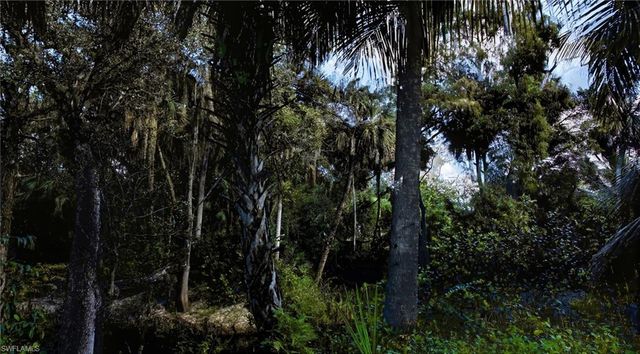 12025 Carpenter LN, Bonita Springs, FL 34135