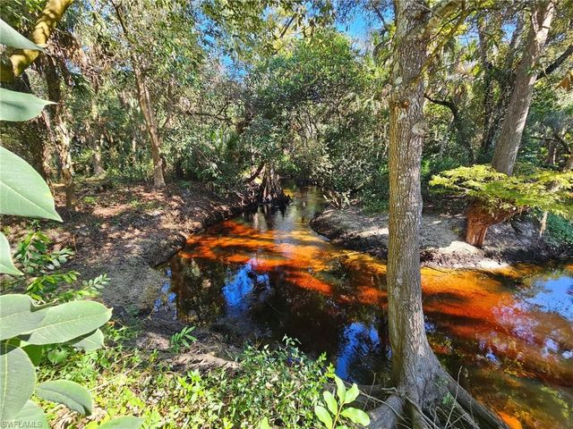 12025 Carpenter LN, Bonita Springs, FL 34135