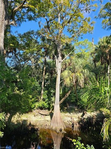 12025 Carpenter LN, Bonita Springs, FL 34135